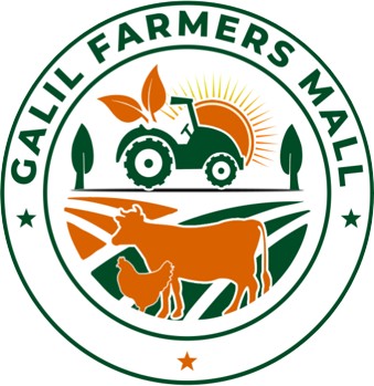 GALILLOGO