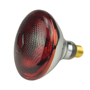 Brooding lamps red 100w,150w,200w,250w,275w