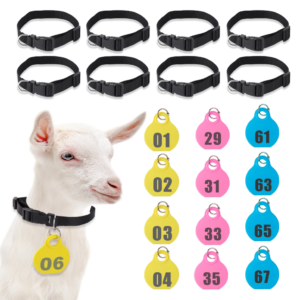 Numbered neck tags